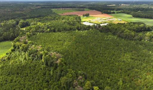 Photo #23 of Off Doc Brown Road, Rose Hill, NC 118.0 acres