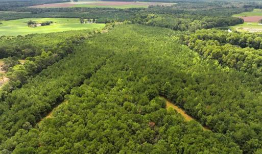 Photo #24 of Off Doc Brown Road, Rose Hill, NC 118.0 acres