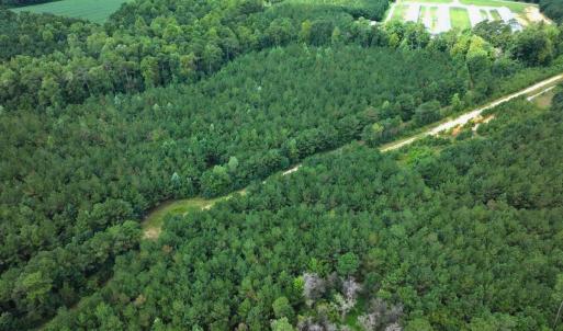 Photo #25 of Off Doc Brown Road, Rose Hill, NC 118.0 acres