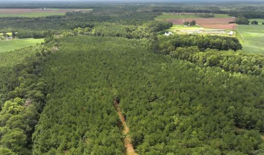 Photo #27 of Off Doc Brown Road, Rose Hill, NC 118.0 acres