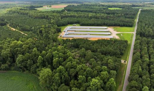 Photo #3 of Off Doc Brown Road, Rose Hill, NC 118.0 acres
