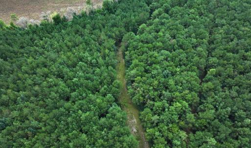 Photo #28 of Off Doc Brown Road, Rose Hill, NC 118.0 acres