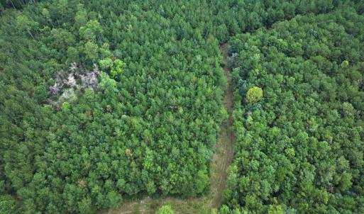 Photo #30 of Off Doc Brown Road, Rose Hill, NC 118.0 acres