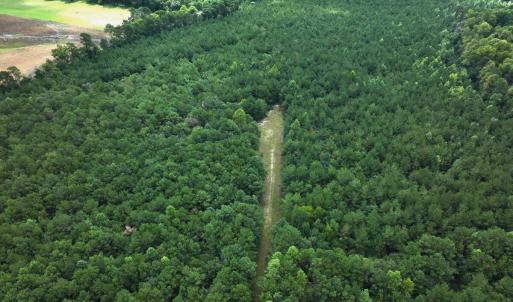 Photo #31 of Off Doc Brown Road, Rose Hill, NC 118.0 acres