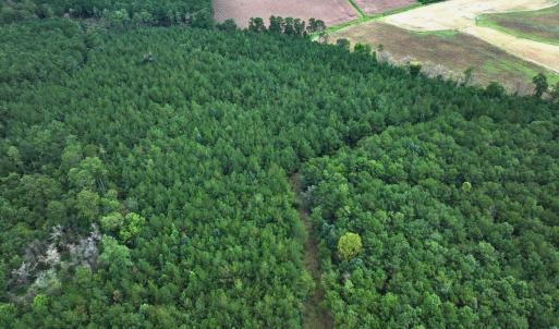 Photo #32 of Off Doc Brown Road, Rose Hill, NC 118.0 acres