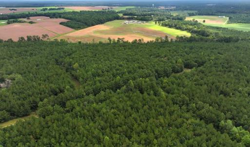 Photo #33 of Off Doc Brown Road, Rose Hill, NC 118.0 acres