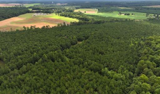 Photo #34 of Off Doc Brown Road, Rose Hill, NC 118.0 acres