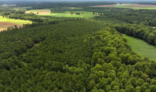 Photo #35 of Off Doc Brown Road, Rose Hill, NC 118.0 acres