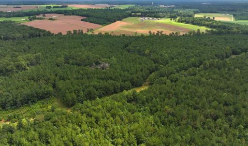 Photo #36 of Off Doc Brown Road, Rose Hill, NC 118.0 acres