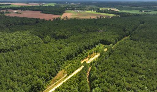 Photo #37 of Off Doc Brown Road, Rose Hill, NC 118.0 acres