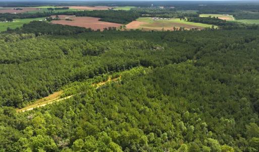 Photo #38 of Off Doc Brown Road, Rose Hill, NC 118.0 acres
