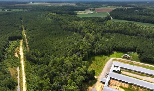 Photo #39 of Off Doc Brown Road, Rose Hill, NC 118.0 acres