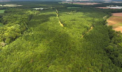 Photo #40 of Off Doc Brown Road, Rose Hill, NC 118.0 acres