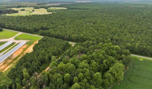 Photo #6 of Off Doc Brown Road, Rose Hill, NC 118.0 acres