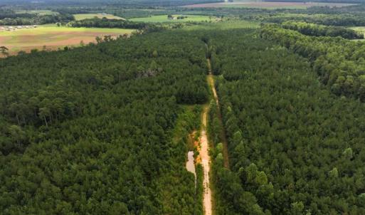 Photo #7 of Off Doc Brown Road, Rose Hill, NC 118.0 acres