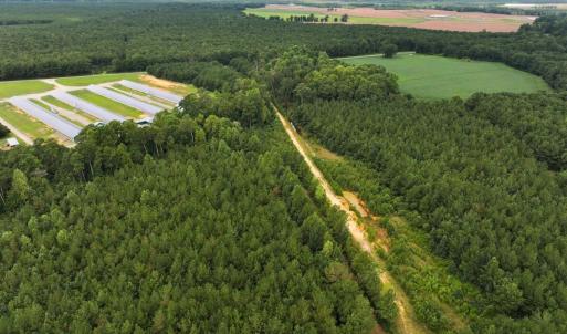 Photo #8 of Off Doc Brown Road, Rose Hill, NC 118.0 acres