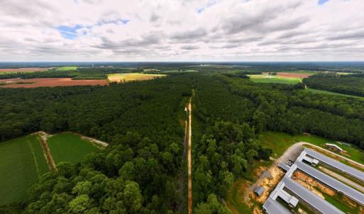 Photo #9 of Off Doc Brown Road, Rose Hill, NC 118.0 acres