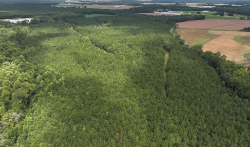 Photo #41 of Off Doc Brown Road, Rose Hill, NC 118.0 acres