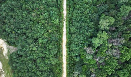Photo #43 of Off Doc Brown Road, Rose Hill, NC 118.0 acres