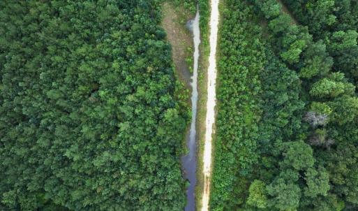 Photo #44 of Off Doc Brown Road, Rose Hill, NC 118.0 acres