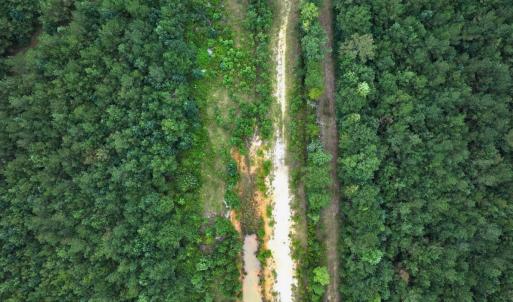 Photo #45 of Off Doc Brown Road, Rose Hill, NC 118.0 acres