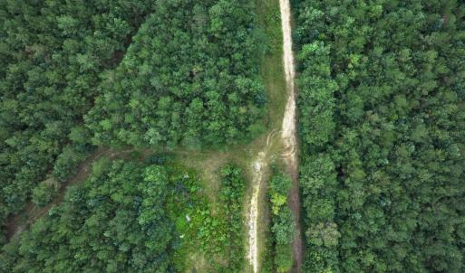 Photo #46 of Off Doc Brown Road, Rose Hill, NC 118.0 acres