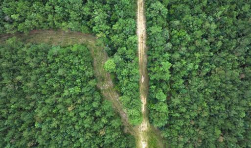 Photo #47 of Off Doc Brown Road, Rose Hill, NC 118.0 acres