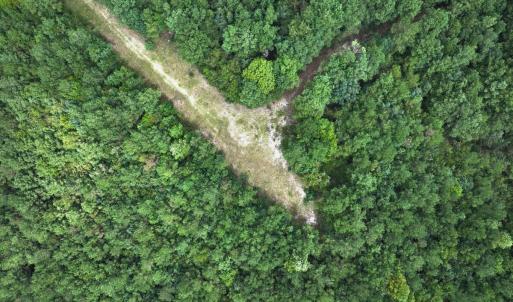Photo #48 of Off Doc Brown Road, Rose Hill, NC 118.0 acres
