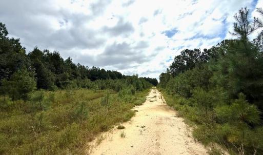Photo #49 of Off Doc Brown Road, Rose Hill, NC 118.0 acres