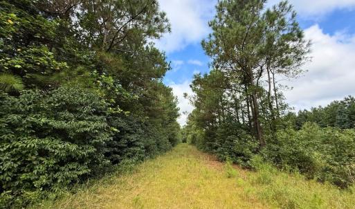 Photo #50 of Off Doc Brown Road, Rose Hill, NC 118.0 acres