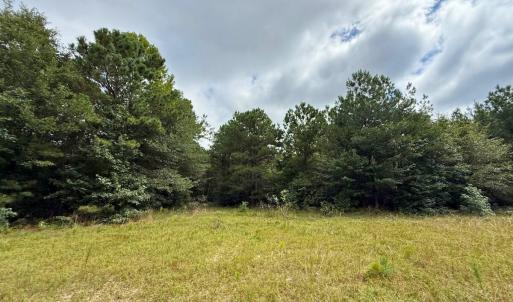 Photo #51 of Off Doc Brown Road, Rose Hill, NC 118.0 acres