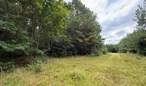 Photo #52 of Off Doc Brown Road, Rose Hill, NC 118.0 acres