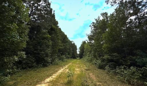 Photo #53 of Off Doc Brown Road, Rose Hill, NC 118.0 acres