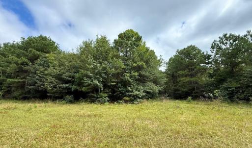 Photo #55 of Off Doc Brown Road, Rose Hill, NC 118.0 acres