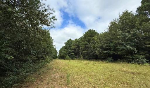 Photo #56 of Off Doc Brown Road, Rose Hill, NC 118.0 acres