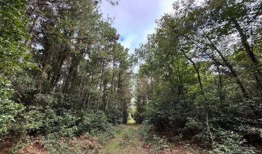 Photo #57 of Off Doc Brown Road, Rose Hill, NC 118.0 acres