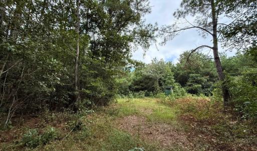 Photo #58 of Off Doc Brown Road, Rose Hill, NC 118.0 acres