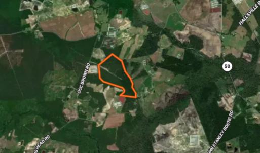 Photo #60 of Off Doc Brown Road, Rose Hill, NC 118.0 acres