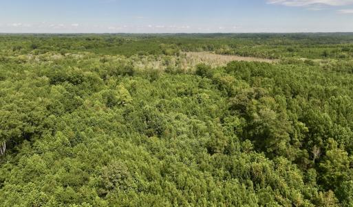 Photo #12 of 1004 No Bottom RD, Warrenton, NC 44.0 acres