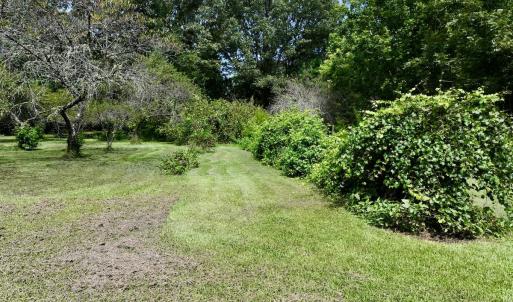 Photo #13 of 1004 No Bottom RD, Warrenton, NC 44.0 acres
