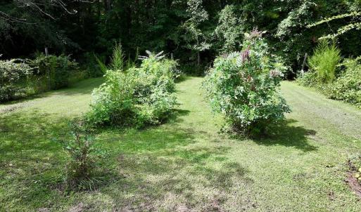 Photo #15 of 1004 No Bottom RD, Warrenton, NC 44.0 acres