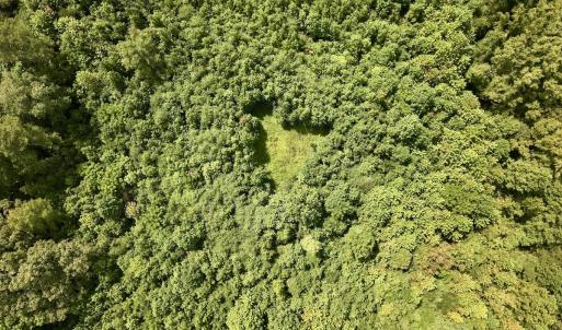 Photo #24 of 1004 No Bottom RD, Warrenton, NC 44.0 acres
