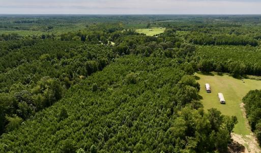 Photo #28 of 1004 No Bottom RD, Warrenton, NC 44.0 acres