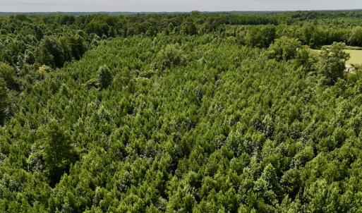 Photo #29 of 1004 No Bottom RD, Warrenton, NC 44.0 acres