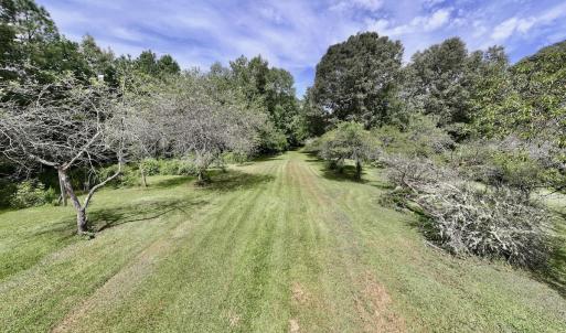Photo #3 of 1004 No Bottom RD, Warrenton, NC 44.0 acres