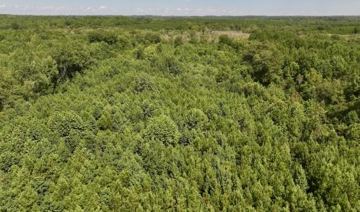 Photo #30 of 1004 No Bottom RD, Warrenton, NC 44.0 acres