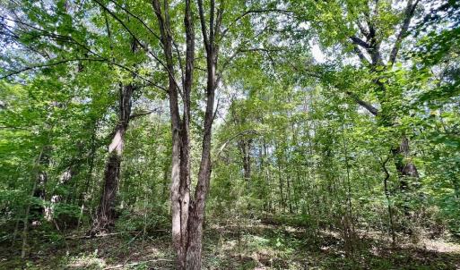 Photo #32 of 1004 No Bottom RD, Warrenton, NC 44.0 acres