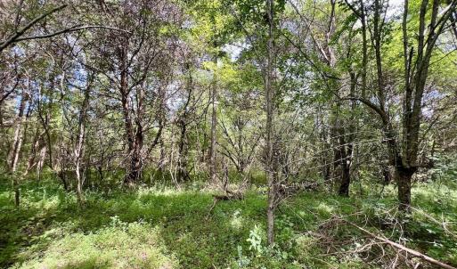 Photo #39 of 1004 No Bottom RD, Warrenton, NC 44.0 acres