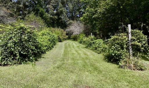 Photo #4 of 1004 No Bottom RD, Warrenton, NC 44.0 acres