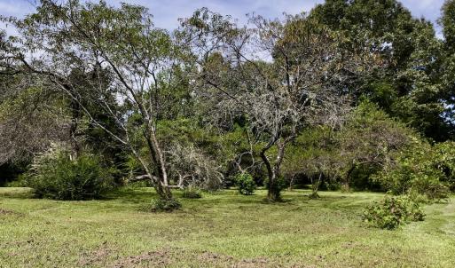Photo #5 of 1004 No Bottom RD, Warrenton, NC 44.0 acres
